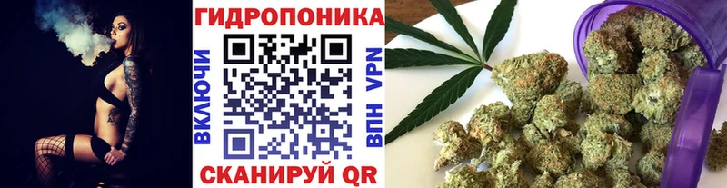 Купить закладки  Бабаево  Шишки марихуана сатива 
